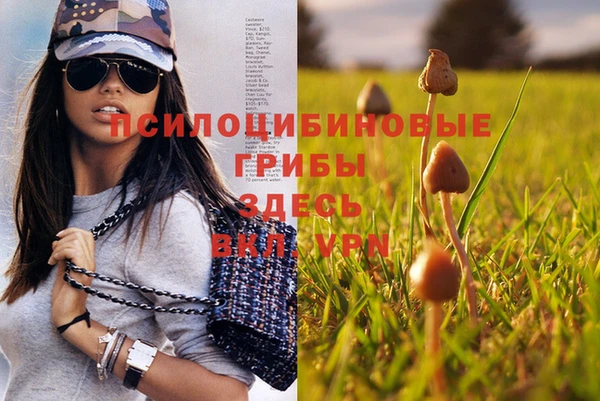 мяу мяу кристалл Алзамай